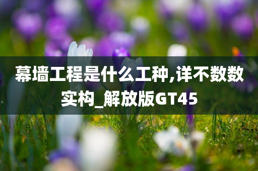 幕墙工程是什么工种,详不数数实构_解放版GT45