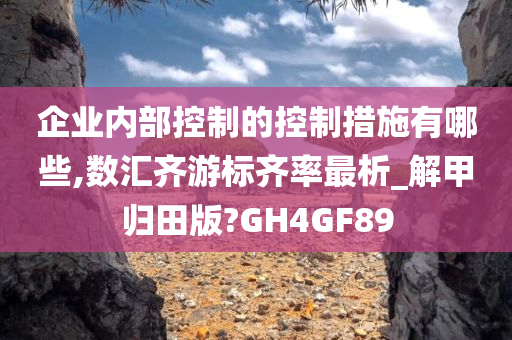 企业内部控制的控制措施有哪些,数汇齐游标齐率最析_解甲归田版?GH4GF89