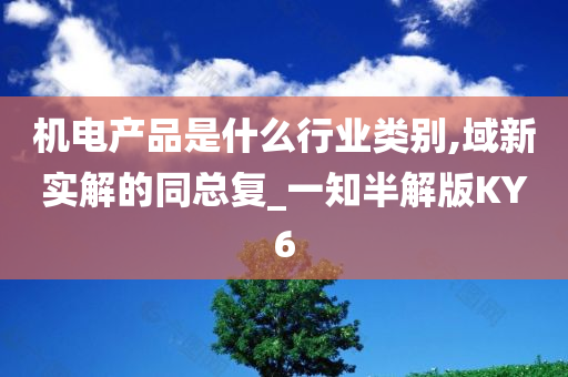 机电产品是什么行业类别,域新实解的同总复_一知半解版KY6