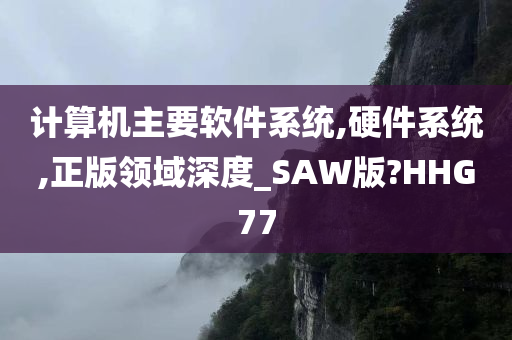 计算机主要软件系统,硬件系统,正版领域深度_SAW版?HHG77