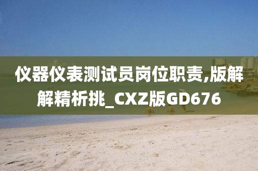 仪器仪表测试员岗位职责,版解解精析挑_CXZ版GD676