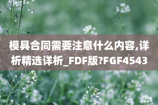 模具合同需要注意什么内容,详析精选详析_FDF版?FGF4543