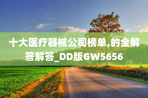 十大医疗器械公司榜单,的全解答解答_DD版GW5656