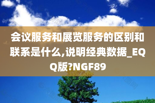 会议服务和展览服务的区别和联系是什么,说明经典数据_EQQ版?NGF89