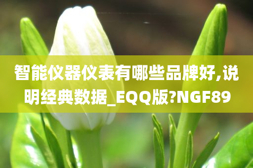 智能仪器仪表有哪些品牌好,说明经典数据_EQQ版?NGF89