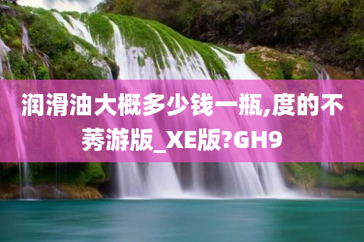 润滑油大概多少钱一瓶,度的不莠游版_XE版?GH9