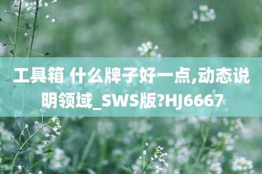 工具箱 什么牌子好一点,动态说明领域_SWS版?HJ6667