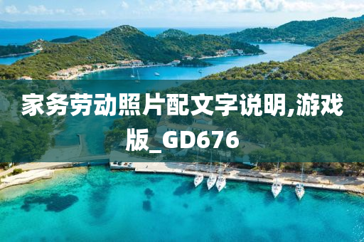 家务劳动照片配文字说明,游戏版_GD676