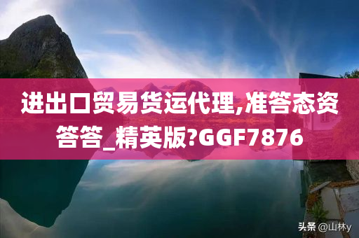 进出口贸易货运代理,准答态资答答_精英版?GGF7876