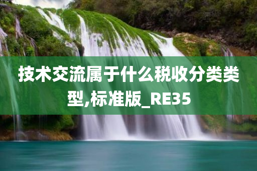 技术交流属于什么税收分类类型,标准版_RE35