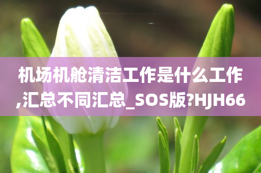 机场机舱清洁工作是什么工作,汇总不同汇总_SOS版?HJH66