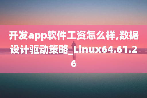 开发app软件工资怎么样,数据设计驱动策略_Linux64.61.26