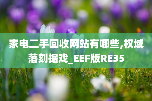 家电二手回收网站有哪些,权域落刻据戏_EEF版RE35