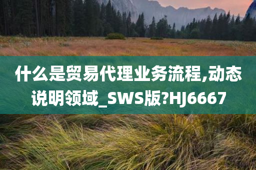 什么是贸易代理业务流程,动态说明领域_SWS版?HJ6667