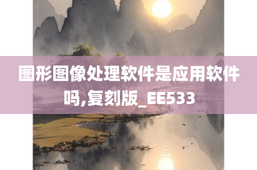 图形图像处理软件是应用软件吗,复刻版_EE533