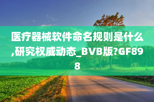 医疗器械软件命名规则是什么,研究权威动态_BVB版?GF898