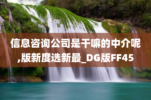 信息咨询公司是干嘛的中介呢,版新度选新最_DG版FF45