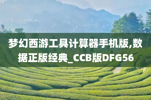 梦幻西游工具计算器手机版,数据正版经典_CCB版DFG56