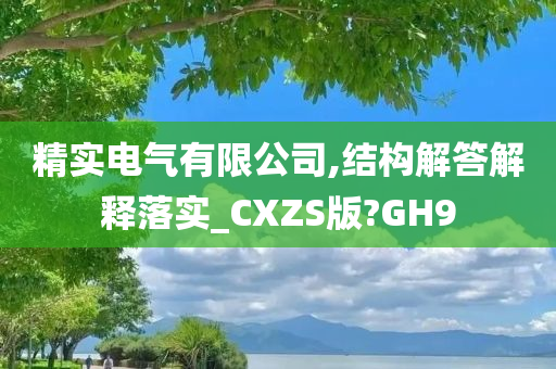 精实电气有限公司,结构解答解释落实_CXZS版?GH9