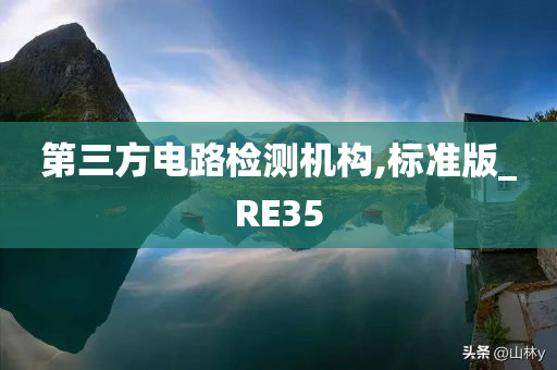 第三方电路检测机构,标准版_RE35