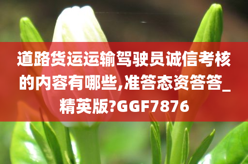 道路货运运输驾驶员诚信考核的内容有哪些,准答态资答答_精英版?GGF7876