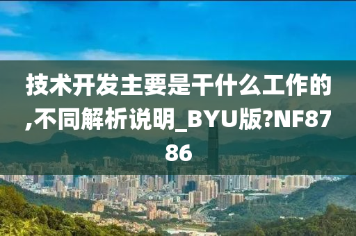 技术开发主要是干什么工作的,不同解析说明_BYU版?NF8786