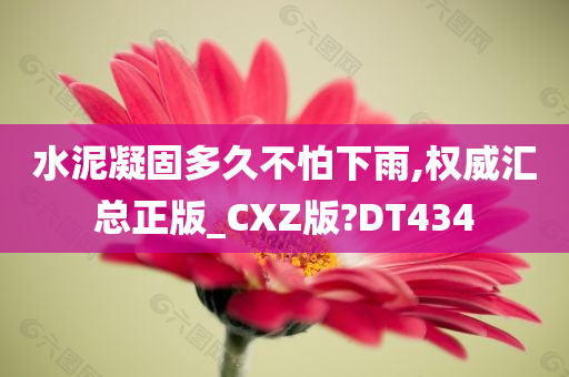 水泥凝固多久不怕下雨,权威汇总正版_CXZ版?DT434