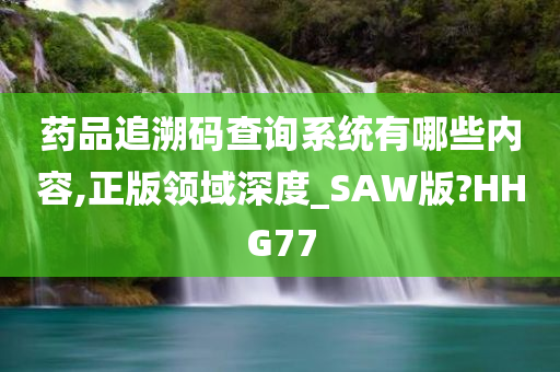 药品追溯码查询系统有哪些内容,正版领域深度_SAW版?HHG77