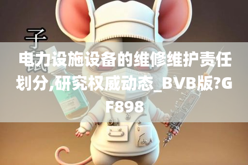 电力设施设备的维修维护责任划分,研究权威动态_BVB版?GF898