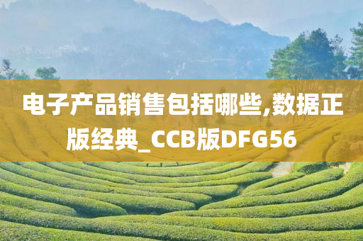 电子产品销售包括哪些,数据正版经典_CCB版DFG56