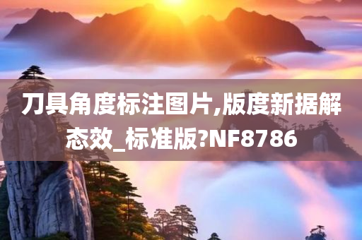 刀具角度标注图片,版度新据解态效_标准版?NF8786