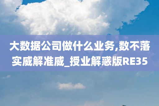 大数据公司做什么业务,数不落实威解准威_授业解惑版RE35