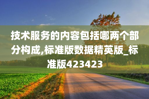 技术服务的内容包括哪两个部分构成,标准版数据精英版_标准版423423