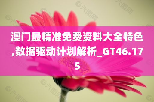 澳门最精准免费资料大全特色,数据驱动计划解析_GT46.175