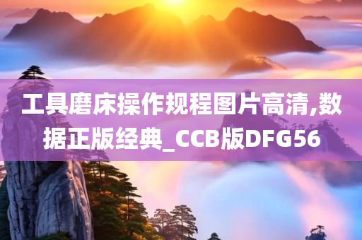 工具磨床操作规程图片高清,数据正版经典_CCB版DFG56