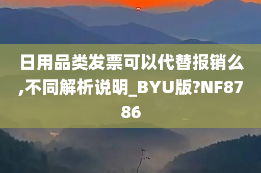 日用品类发票可以代替报销么,不同解析说明_BYU版?NF8786