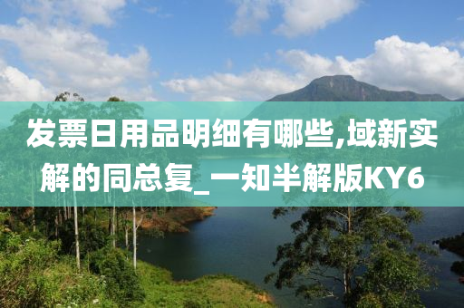 发票日用品明细有哪些,域新实解的同总复_一知半解版KY6