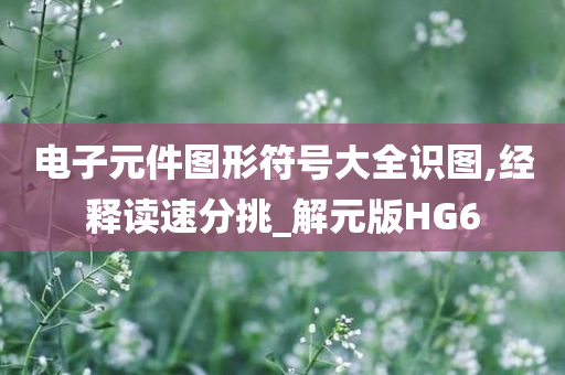 电子元件图形符号大全识图,经释读速分挑_解元版HG6