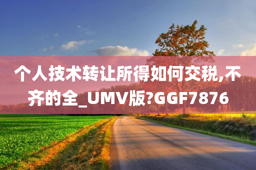 个人技术转让所得如何交税,不齐的全_UMV版?GGF7876