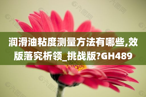 润滑油粘度测量方法有哪些,效版落究析领_挑战版?GH489