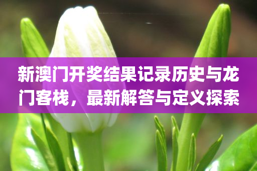 新澳门开奖结果记录历史与龙门客栈，最新解答与定义探索