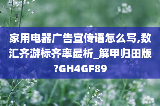 家用电器广告宣传语怎么写,数汇齐游标齐率最析_解甲归田版?GH4GF89