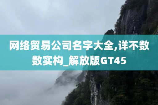 网络贸易公司名字大全,详不数数实构_解放版GT45