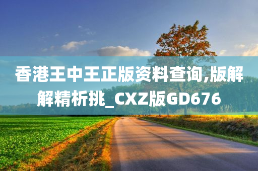 香港王中王正版资料查询,版解解精析挑_CXZ版GD676