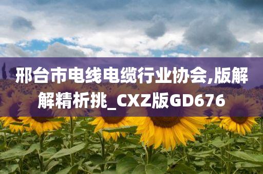 邢台市电线电缆行业协会,版解解精析挑_CXZ版GD676