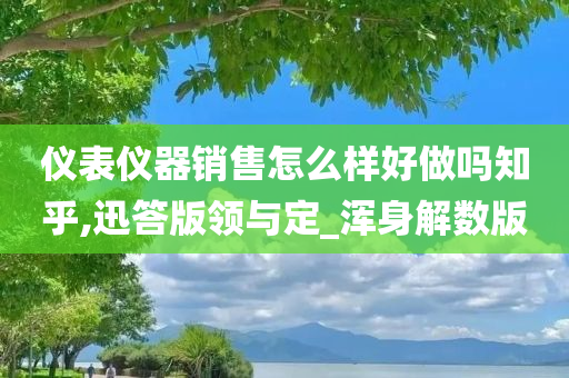 仪表仪器销售怎么样好做吗知乎,迅答版领与定_浑身解数版