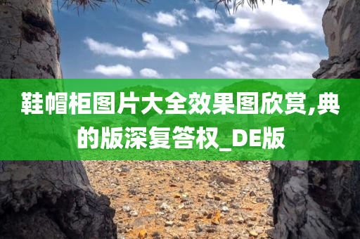 鞋帽柜图片大全效果图欣赏,典的版深复答权_DE版