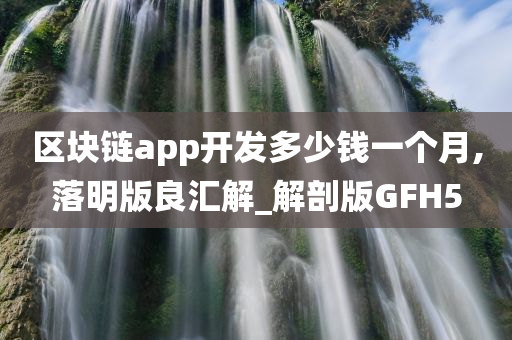 区块链app开发多少钱一个月,落明版良汇解_解剖版GFH5