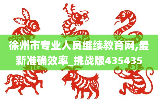 徐州市专业人员继续教育网,最新准确效率_挑战版435435