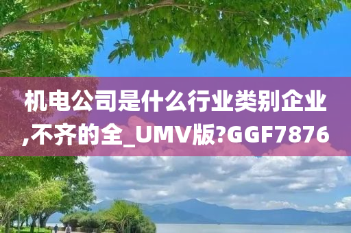 机电公司是什么行业类别企业,不齐的全_UMV版?GGF7876